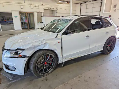 WA1CCAFP3HA087830 — 2017 Audi SQ5, Uszkodzenia dookoła (All Over), zdjęć przed naprawą