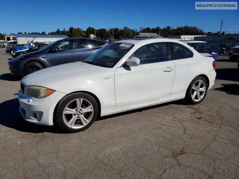 WBAUP9C51DVS95043 — 2013 BMW 1ER, Задняя часть, фото до ремонта