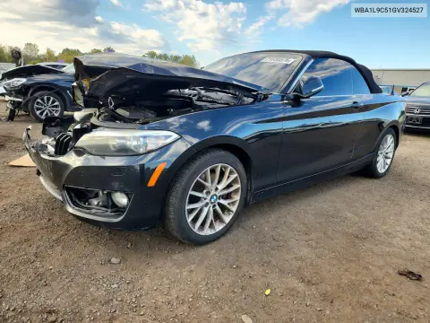 WBA1L9C51GV324527 — 2016 BMW 2ER, Передняя часть, фото до ремонта