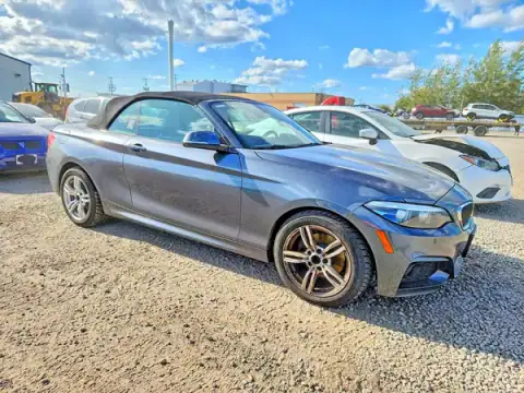 WBA2K1C53JVB64590 — 2018 BMW 2ER, фото 4 с аукциона Copart 29.09.2026, Град