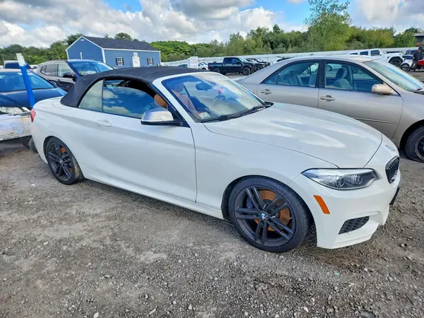 WBA2N3C54JVC29532 — 2018 BMW 2ER, фото 4 с аукциона Copart, Подтопление