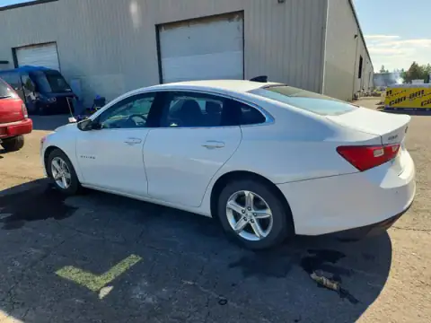 1G1ZB5ST4MF063703 — 2021 Chevrolet Malibu, фото 2 с аукциона Copart 28.09.2026, БОКОВАЯ ЧАСТЬ