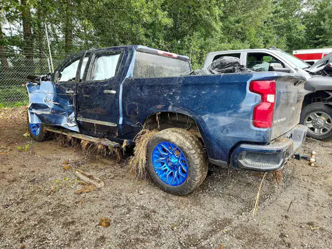 3GCUYEED3LG338737 — 2020 Chevrolet Silverado, photo 2 from Copart 13.10.2026, Biohazard / chemical