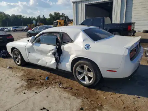 2C3CDZAG5JH317551 — 2018 Dodge Challenger, photo 2 from Copart, Side