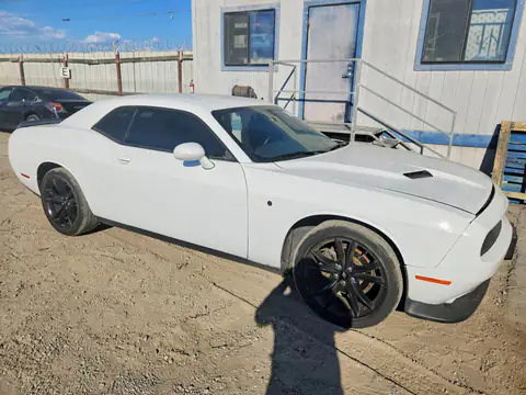 2C3CDZAG0JH298276 — 2018 Dodge Challenger, photo 4 from Copart 22.10.2026, Side