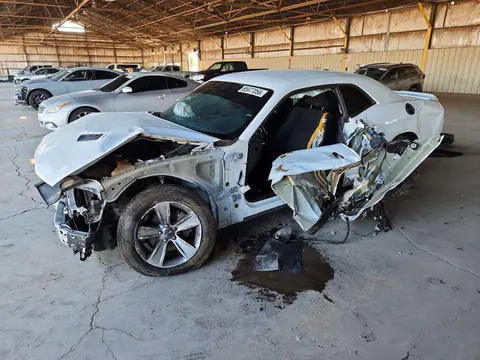 2C3CDZAG0KH701044 — 2019 Dodge Challenger, Боковая часть (Side), фото до ремонта