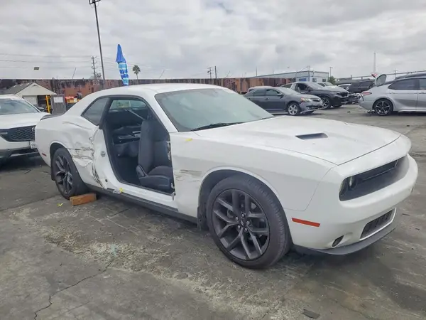 2C3CDZAG3KH501307 — 2019 Dodge Challenger, photo 4 from Copart, Side
