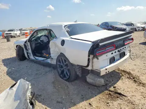 2C3CDZJG4KH716937 — 2019 Dodge Challenger, photo 2 from Copart, Side