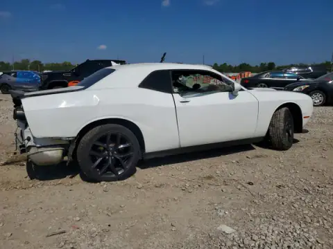 2C3CDZJG4KH716937 — 2019 Dodge Challenger, photo 3 from Copart, Side
