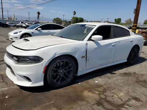 2C3CDXGJ1MH667058 — 2021 Dodge Charger, Вандализм (Vandalism), фото до ремонта