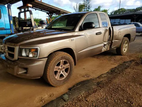 1D7CW3BP4AS131791 — 2010 Dodge Dakota, Боковая часть (Side), фото до ремонта