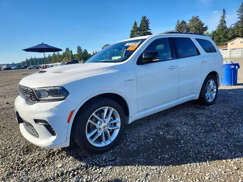 1C4SDJCT9PC553859 — 2023 Dodge Durango, Vandalism (Vandalism), before-repair photos