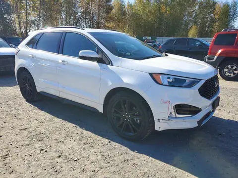 2FMPK4J91LBB58357 — 2020 Ford EDGE, zdjęcie 4 z Copart 26.10.2026, Tył