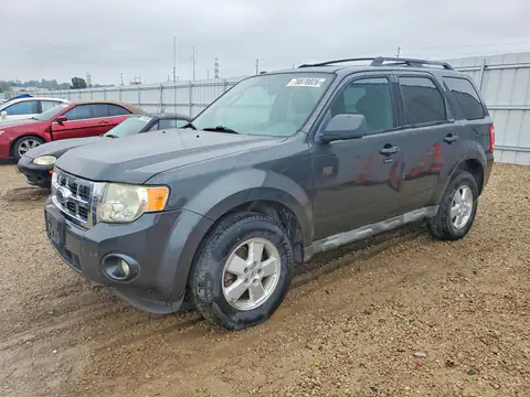1FMCU93G89KB78251 — 2009 Ford Escape, Normal wear (Normal Wear), before-repair photos