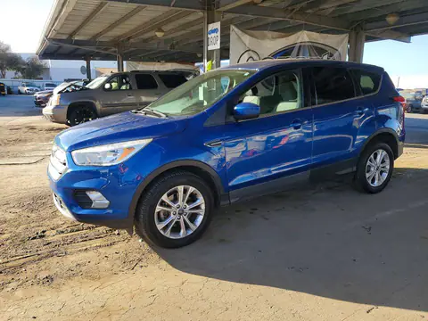 1FMCU0GD1KUB10573 — 2019 Ford Escape, Мелкие вмятины and царапины (Minor Dent/Scratches), before-repair photos