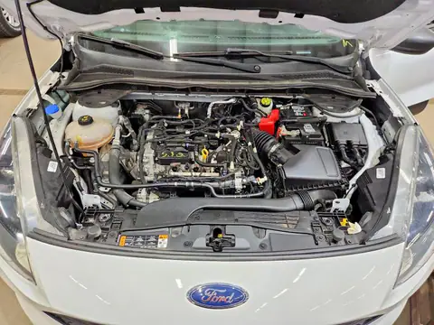 1FMCU0F65MUA26021 — 2021 Ford Escape, Мелкие вмятины и царапины (Minor Dent/Scratches), фото до ремонта