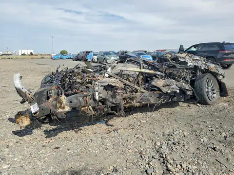 1FMJU2AT1MEA34496 — 2021 Ford Expedition, Fire (Burn), before-repair photos