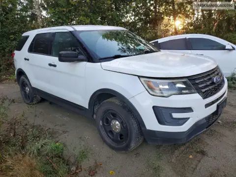 1FM5K8AR0GGA00590 — 2016 Ford Explorer, photo 4 from Copart 28.10.2026, Normal wear