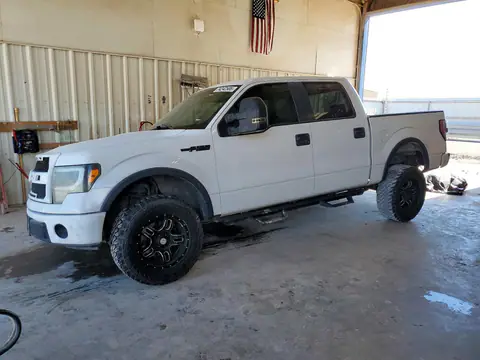 1FTRW12849FA57701 — 2009 Ford F-150, წინა ნაწილი, ფოტოები შეკეთებამდე
