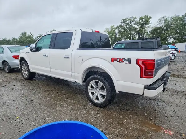 1FTEW1EF1GFD29756 — 2016 Ford F-150, zdjęcie 2 z Copart, Tył