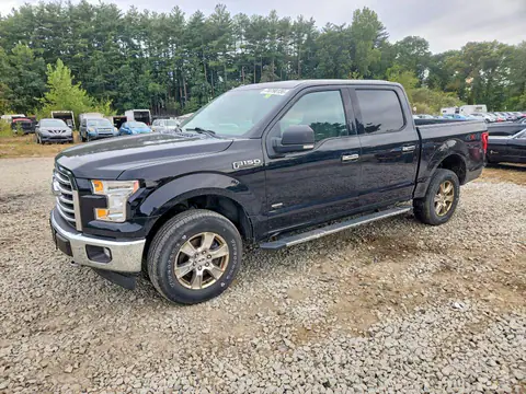 1FTEW1EG3HFB28032 — 2017 Ford F-150, Normal wear (Normal Wear), before-repair photos