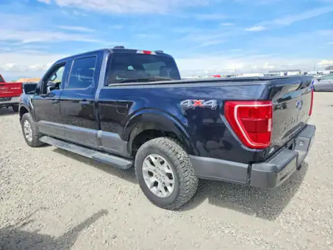 1FTFW1E51MFA26919 — 2021 Ford F-150, photo 2 from Copart, Hail