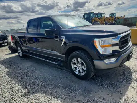1FTFW1E51MFA26919 — 2021 Ford F-150, photo 4 from Copart, Hail