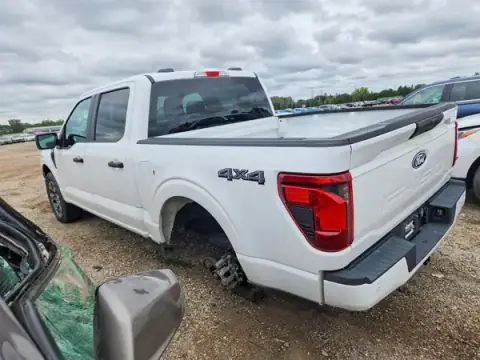 1FTEW2LP6RKD59122 — 2024 Ford F-150, photo 2 from Copart, Rear end
