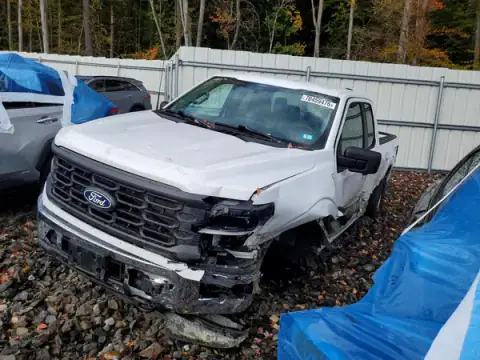 1FTEX1LP9RKE69346 — 2024 Ford F-150, გვერდითი ნაწილი (Side), ფოტოები შეკეთებამდე