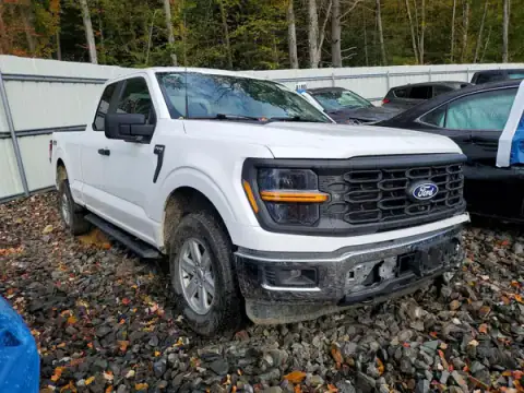 1FTEX1LP9RKE69346 — 2024 Ford F-150, photo 4 from Copart, Side