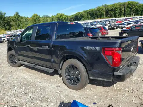 1FTEW2LP0SKF52081 — 2025 Ford F-150, foto 2 de Copart, Parte trasera