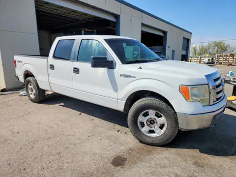 2009 FORD F150 VIN 1FTRW14889FA66849 фото 4
