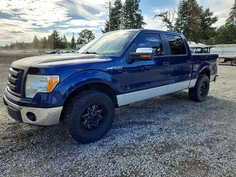 1FTRW12829FA07413 — 2009 Ford F150, Боковая часть (Side), фото до ремонта