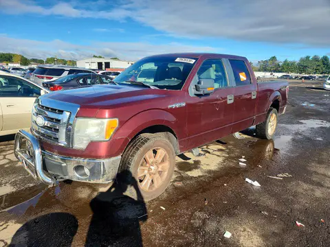 2009 FORD F150 VIN 1FTPW14V79FA64314 фото 1
