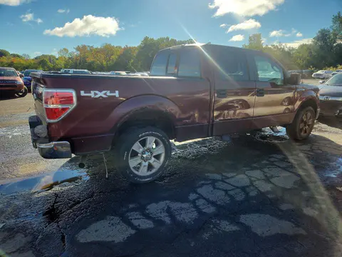 2009 FORD F150 VIN 1FTPW14V79FA64314 фото 3