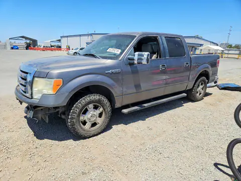 2010 FORD F150 VIN 1FTEW1C80AFB13781 фото 1