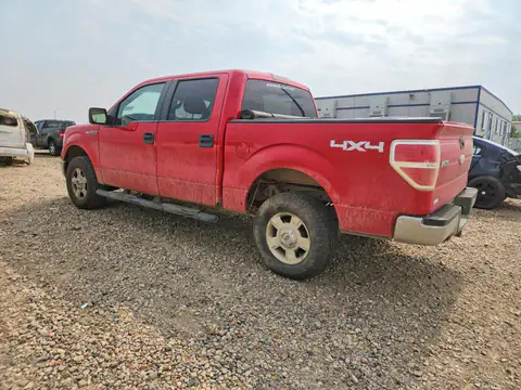 2010 FORD F150 VIN 1FTFW1EV7AFA06055 фото 2