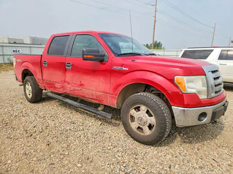 2010 FORD F150 VIN 1FTFW1EV7AFA06055 фото 4