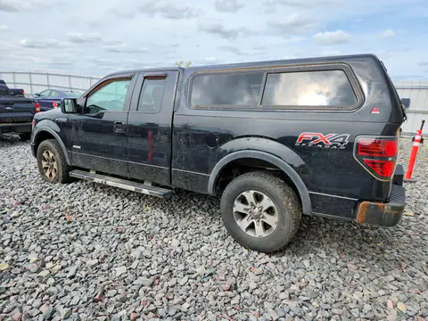 2013 FORD F150 VIN 1FTFX1ET8DFB35339 фото 2