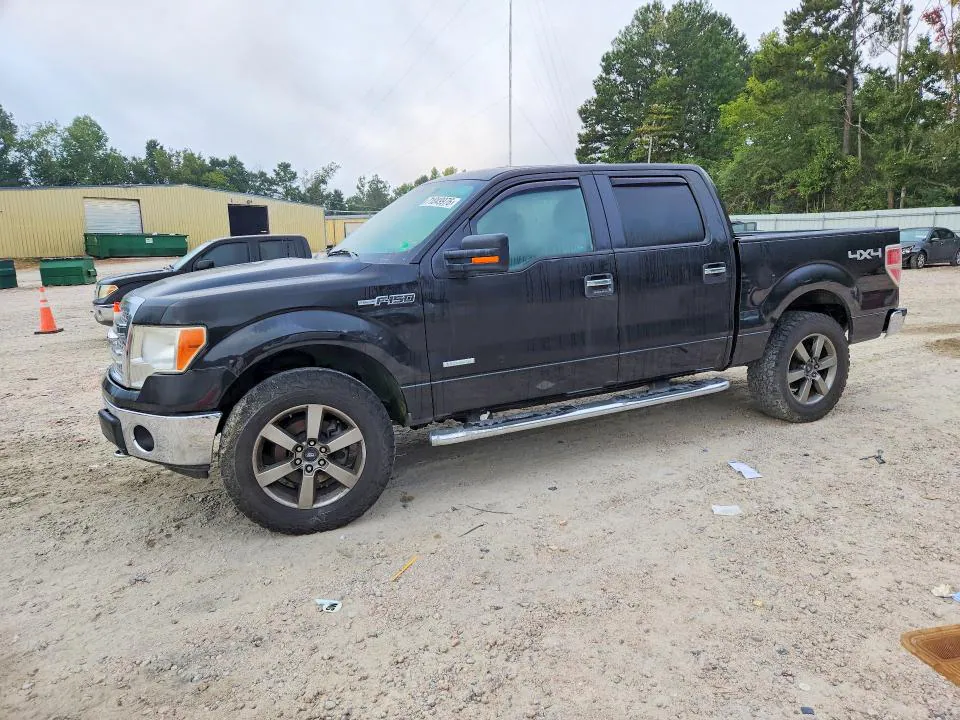 2013 FORD F150 VIN 1FTFW1ET6DFD89151 фото 1