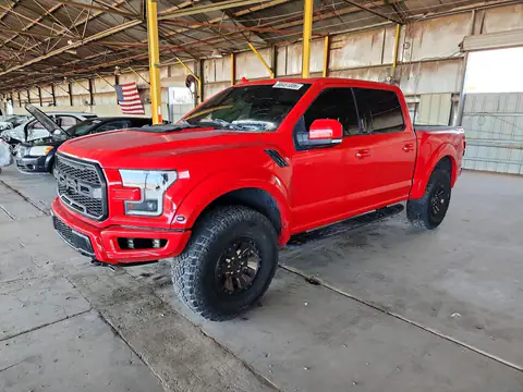 1FTFW1RG7KFC45635 Ford F150 2019 — повреждение Мелкие вмятины и царапины, фото до ремонта