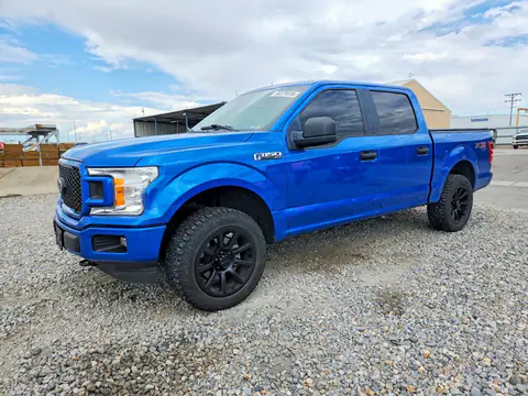 1FTEW1EPXKFD53412 — 2019 Ford F150, Hail (Hail), before-repair photos
