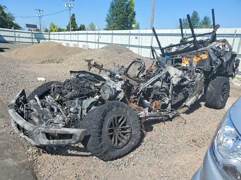1FTFW1RG5LFB55501 — 2020 Ford F150, Pożar (Burn), zdjęć przed naprawą