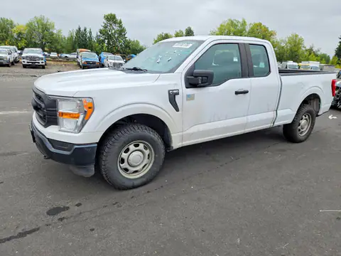 1FTEX1EPXMKD23818 — 2021 Ford F150, Tył (Rear End), zdjęć przed naprawą