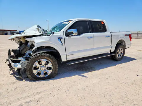 1FTFW1ED4PFA09656 — 2023 Ford F150, Front end (Front End), before-repair photos