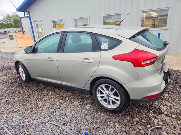 1FADP3K21GL293287 — 2016 Ford Focus, zdjęcie 2 z Copart, Tył