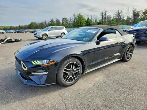 1FATP8UH4K5182000 — 2019 Ford Mustang, Rear end (Rear End), before-repair photos