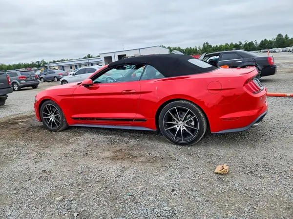 1FATP8UH5M5132418 — 2021 Ford Mustang, photo 2 from Copart, Front end