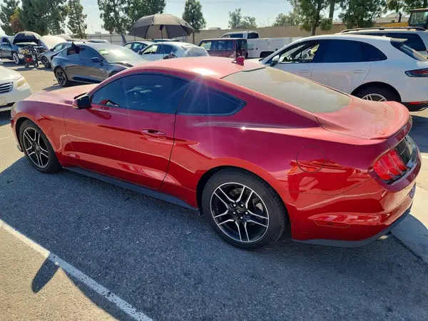 1FA6P8TH7M5145833 — 2021 Ford Mustang, photo 2 from Copart, Side