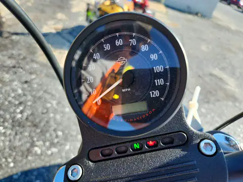 1HD1LP319MB406215 — 2021 Harley-Davidson Sportster, photo 7 from Copart 29.10.2026, Front end
